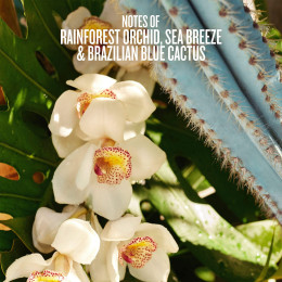 Мист для тела Sol De Janeiro - Refresco Paraiso, 90мл