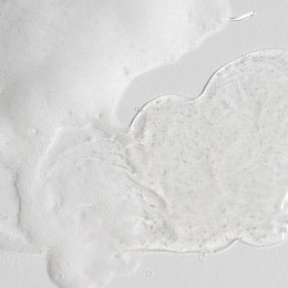 Гель-пенка для умывания с комплексом церамидов Celimax Dual Barrier Mild Gel Cleanser