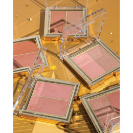 Палетка румян для лица Golden Rose №01 - Rose Nude