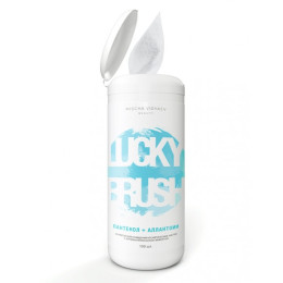 Антибактериальные спиртовые салфетки Mischa Vidyaev, 100 шт