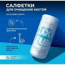 Антибактериальные спиртовые салфетки Mischa Vidyaev, 100 шт