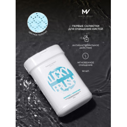 Антибактериальные спиртовые салфетки Mischa Vidyaev, 50 шт