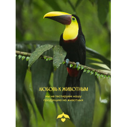 Парфюмированный гель для душа Solzao - Ipanema Girl, 400 мл