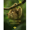 Парфюмированный гель для душа Solzao - Amazonia, 400 мл