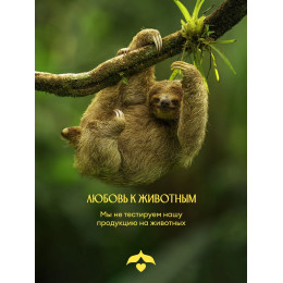 Парфюмированный гель для душа Solzao - Amazonia, 400 мл