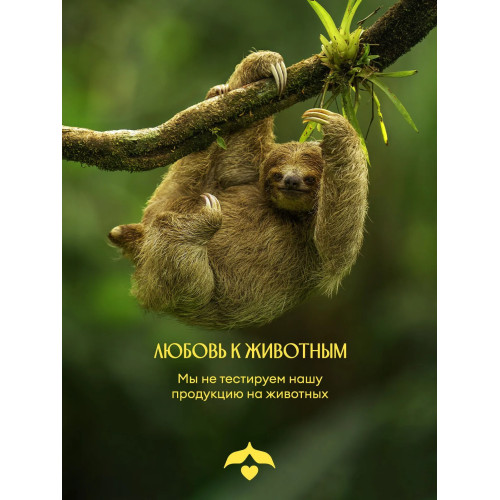 Парфюмированный гель для душа Solzao - Amazonia, 400 мл
