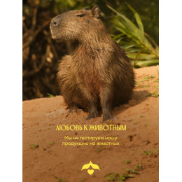 Парфюмированный гель для душа Solzao - Sugar Head, 400 мл