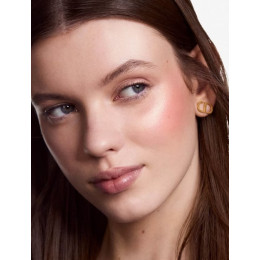 Палетка для лица DIOR Rouge Blush Colour&Glow Pallete №457