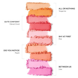Палетка румян Patrick TA For Face Transition Blurring Blush Duo -  Quite Confident