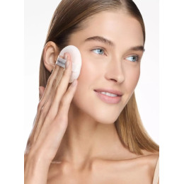 Фиксирующая рассыпчатая пудра для лица Skin Filter Loose Powder, SHIK