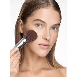 Фиксирующая рассыпчатая пудра для лица Skin Filter Loose Powder, SHIK