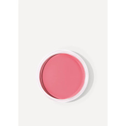 Тающие кремовые румяна Tender Touch Cream Blush №01 - Rustic, SHIK