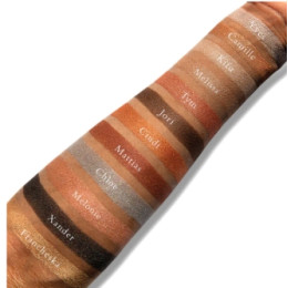 Палетка перламутровых теней VISEART Petites - Sultry Muse